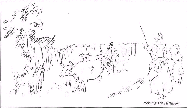 Teckning av Tor visande några kor och en piga